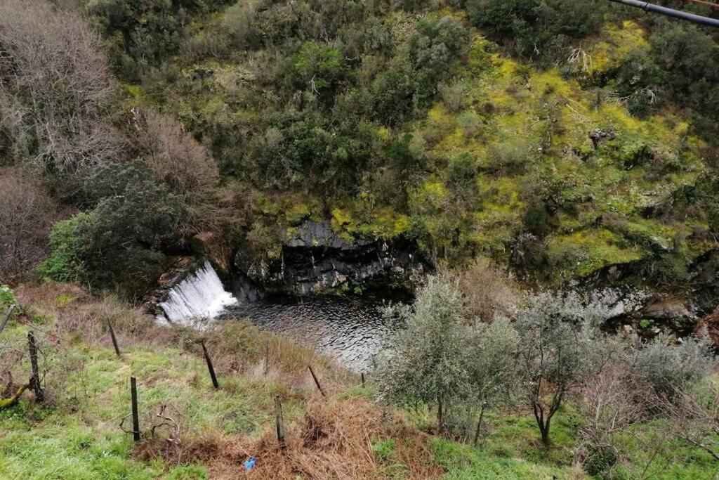 Casal do Rei  Casa Do Avo Alvaro - Refugio Do Rei מראה חיצוני תמונה